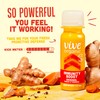 Vive Organic Immune Support Shot, Cold-Pressed Ginger, Turmeric, & Echinacea,