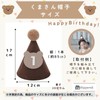 Rippem8 Birthday Hat, 1 Year Old Headband, Birthday Goods, Triangle