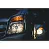 HALOWAY D2S Automotive HID Headlight