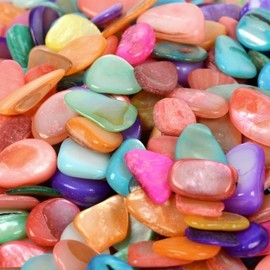 Dyed Multi-Color Shell Polished Chips Crushed Tumbled Stone Crystal Healing Embellishments 100 Grams