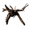 Black Spiderwood Small