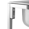 Single Basin Sink, 29.5Inch Height Kitchen Sink with Stand &