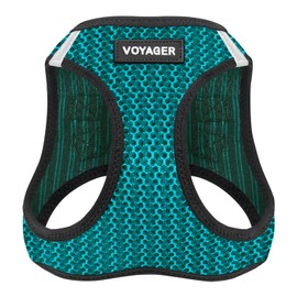 Best Pet Supplies Voyager Step-In Air Dog Harness, All-Weather Mesh Harness for Small and Medium Dogs, Turquoise, S