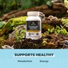 Ancient Nutrition Ancient Nutrition Regenerative Organic Certified Probiotics for Metabolism