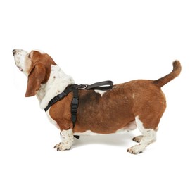 Pets Go 2 Dog Safety Harness For Walking & Car - Small