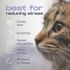 BUDDYJOY Cat Calming Diffuser BUDDYJOY (3 Refills) NEW - FREE
