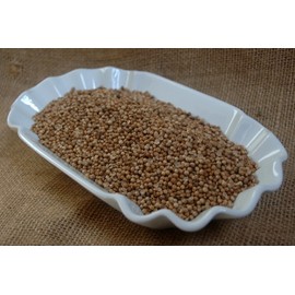 Naturix24 Coriander Whole - 250g Bag