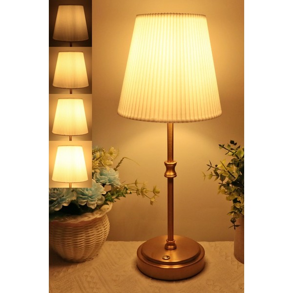 HSLighting HSLighting Cordless Lamp, 15'' Touch Table Lamps Bedside Battery