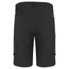Salewa Puez DST M Men's Hiking Shorts Cargo Shorts