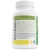 Jiva Botanicals Chanca Piedra Supplement - 550 mg per Serving