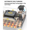 48-Egg Chicken Egg Incubator with Auto Turner & LED Candler