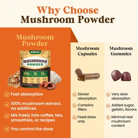 Fidus Daily Mushroom Superfood Powder | 16 in 1 Formula with 17300mg Adaptogens | Lions Mane, Cordyceps, Reishi | Supports Clarity, Energy & Wellbeing | 90 Servings