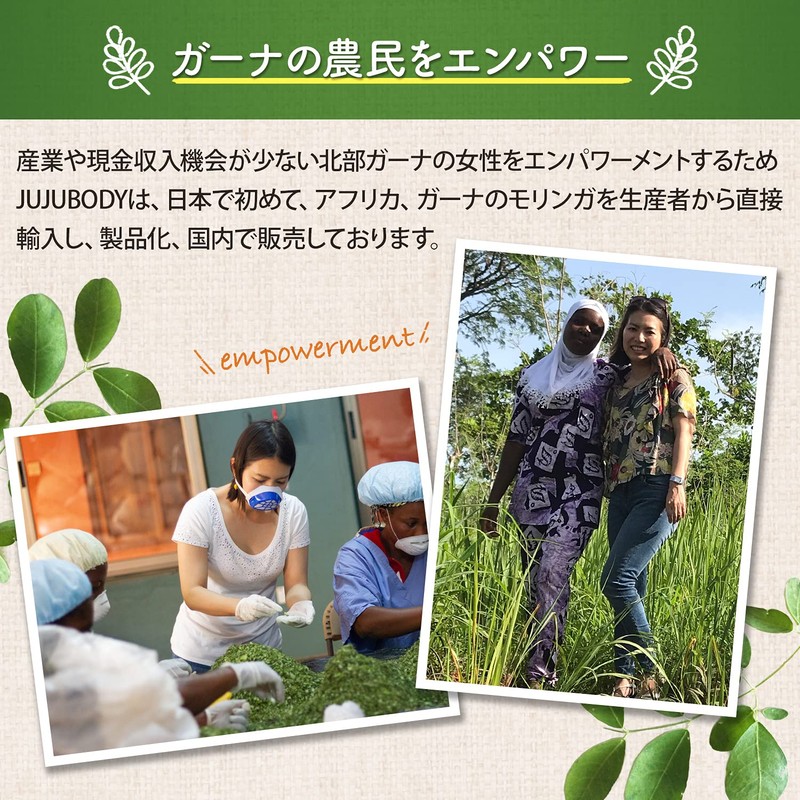 JUJUBODY モリンガ茶 無添加 モリンガ100％ 無農薬 未焙煎 ノンカフェイン モリンガティー ガーナ産【奇跡のモリンガ著者監修】 (12パック)