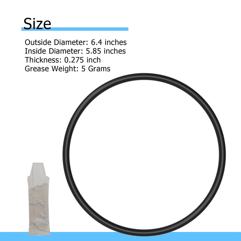 POCPUNAB 350013 Pool Pump Lid O-Ring Compatible with Pentair IntelliFlo