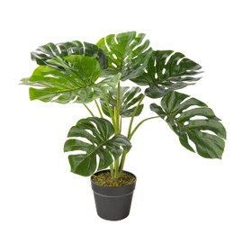 Naturae Decor Monstera Plant - Lifelike Artificial Indoor House Plant - 23 in High