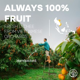 Jungle Powders Lychee Powder 5 Ounce Bag - Freeze Dried Lychee Fruit for Baking, Smoothies, Syrup, Desserts, Sauces, Jelly, Juice - Additive & Filler Free All Natural Extract Dehydrated Juice Powder