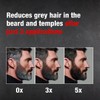 Alpecin Grey Attack Beard & Temples Colour Booster 50 ml