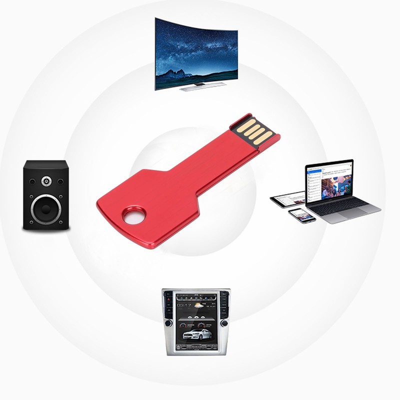 Hsthe Sea Memory Stick CW10084 KeyShaped U Disk Portable Metal