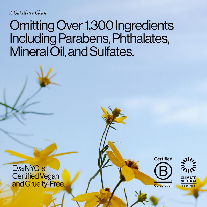 Eva NYC Repair Leave-In Hair Treatment - For Dry, Damaged