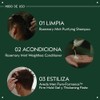 Aveda Rosemary Mint Acondicionador Ligero Cabello Fino