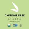 Choice Organics - Organic Mint Sage Tea (6 Pack) -