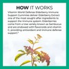 Vitamin world Defense Elderberry Immune Support Gummies