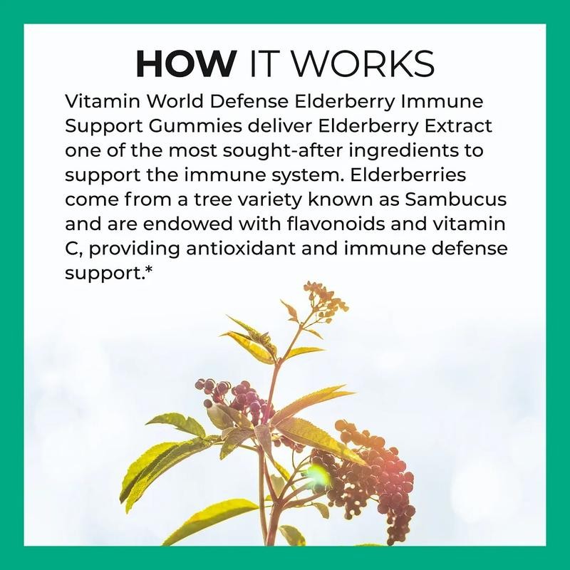 Vitamin world Defense Elderberry Immune Support Gummies