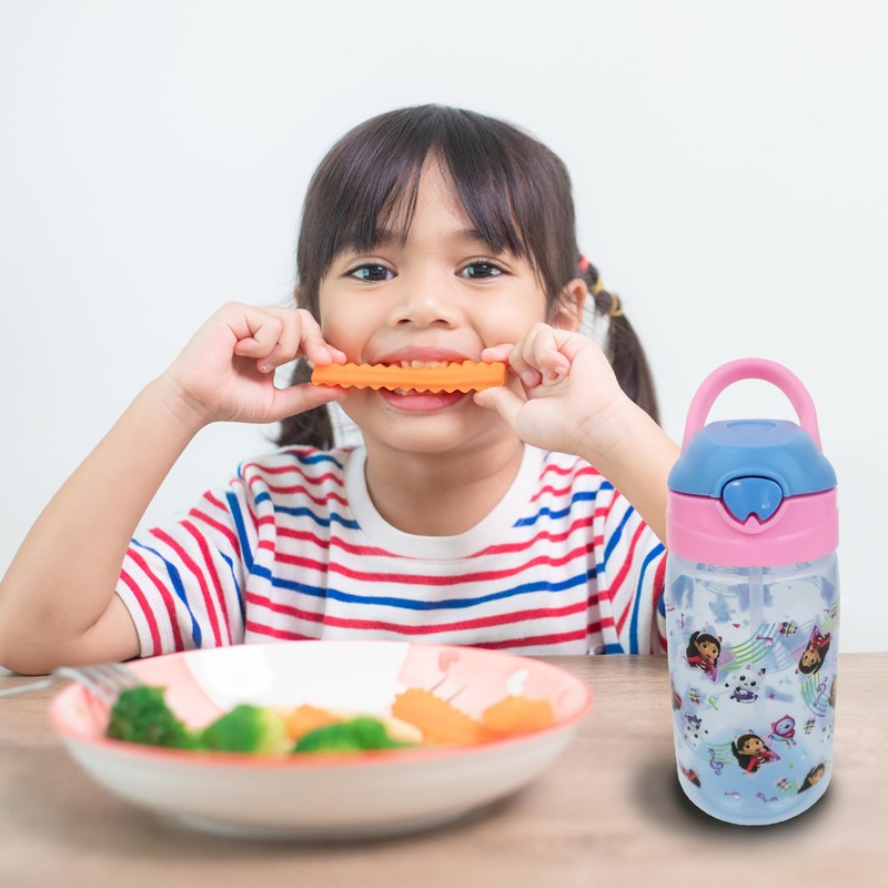 GABBY'S Dollhouse Water Bottle with Soft Handle 430ML