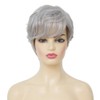 Salaibs Grey Short Curly Wigs for Women with Fringe, Natural