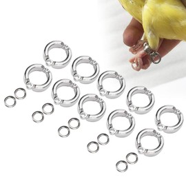Zerodis Parrots Foot Buckle, 10PCS Stainless Steel Parrots Standing Frame Foot Ring for Outdoor Flying Training(#7)
