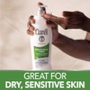 Curel Continuous Comfort 24-Hour Daily Moisturizing Lotion for Dry Skin,