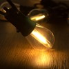 DGE S14 Replacement LED Bulb 4 Pack Replacement String Light