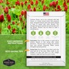 Crimson Clover Seed for Planting - 5 Packets with Instructions