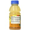 Langers Juice Cocktail, Pineapple Orange Guava, 10 Fl Oz (Pack