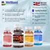 WellBoost Energy Boost - Pre Workout, Caffeine, Ginseng, VIT C,