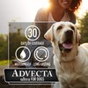 Advecta Ultra Flea and Tick Prevention for Dogs, Dog Flea