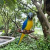 BSIRZAM Hanging Parrot Macaw Sculpture Ring Perch Indoor/Outdoor Statue for