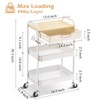 TOOLF 3-Tier Utility Rolling Cart with Wooden Board and Drawer,