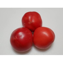 Alma Paprika Pepper Seeds-20+ Seeds