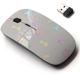 2.4G Wireless Mouse with Cute Pattern Design for All Laptops and Desktops with Nano Receiver - Cartoon Cute Bunnies Kids