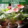 Doter All-Natural Potting Soil for Anthurium & Indoor Plants 2qt