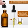 4 Pack 1 oz Glass Dropper Bottles with Measured Dropper