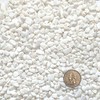Midwest Hearth Decorative White Bean Pebbles 1/5" Size (2-lb Bag)