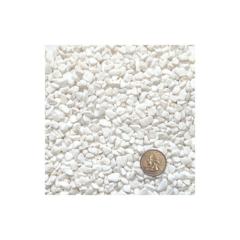 Midwest Hearth Decorative White Bean Pebbles 1/5" Size (2-lb Bag)
