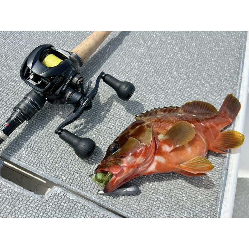 GOMEXUS ST-D Star Drag for Daiwa, 6.4g Ultra-Light Bait Reel,