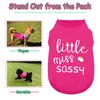 Paiaite Dog Clothes Fashionable Sleeveless Pet Vest: 'Little Miss Sassy'