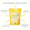 Colágeno Hidrolizado Polvo 100 Puro Presentación 500g Suplemento Natural Base