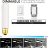 SCOMX 25 Watt T10 Frost Tubular Incandescent Light Bulb, Showcase