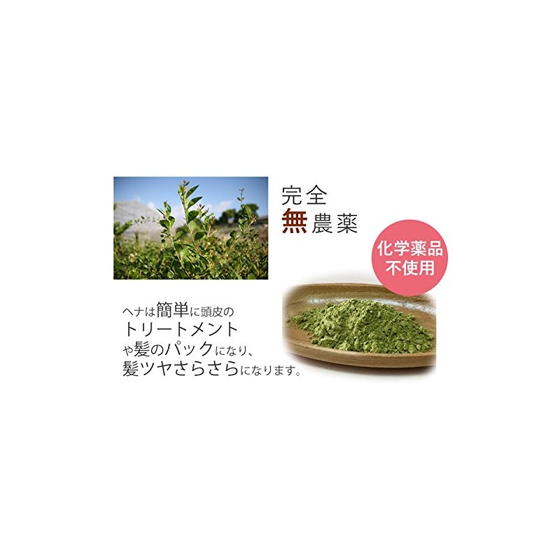 Kinawa Henna Ryukyu Hosuki Color (Henna 100%)