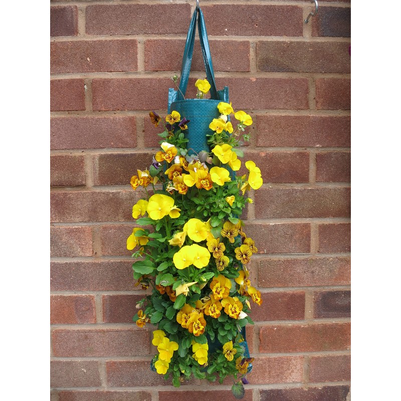 Bowry's Pack of 2 Hanging Strawberry Growbag Planters